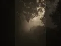 Goldmund - Finding It There
