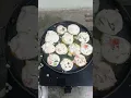 Download Lagu viral suji ke appe #shortvideo ##shorts #food #recipe #appe