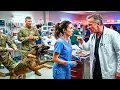 Chief Doctor Humiliated the Rookie Nurse Her K9 Recognized the Elite Combat Medic and Exposed Him