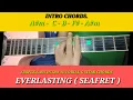 SIMPLE EASY INTRO TUTORIAL GUITAR CHORDS // EVERLASTING ( SEAFRET )