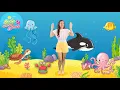 Download Lagu Sea Creatures Song in Spanish: Medusa, Jellyfish - Los Animales Marinos | Action Song for Kids