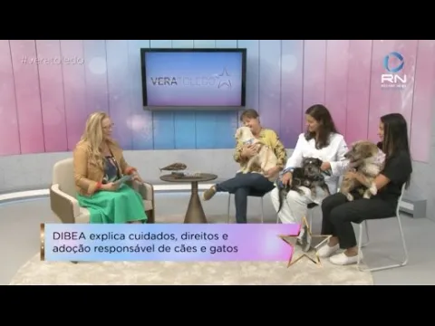 Programa Vera Toledo: 169 cães e 24 gatos estão prontos à adoção no Dibea, em Florianópolis