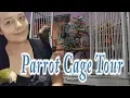 Green Cheek Conure Cage Tour