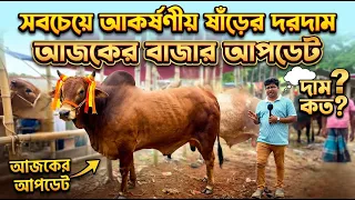 ব্রাহ্মণবাড়িয়ার বিখ্যাত বাইশমৌজা গরুর হাট থেকে ২০২৭ কুরবানীর উপযোগী গরুর দাম জানুন Cow price