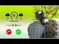 Download Lagu Best Ringtone 2025 Hindi Ringtone New Song Ringtone Mobile Phone Ringtone Love Ringtone New Ringtone