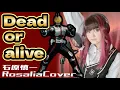 Lagu 【Dead or alive/石原慎一】仮面ライダー555 ED〈特撮〉原曲キー Rosalia Cover/歌ってみた　字幕オンで歌詞付き lyrics