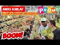 Download Lagu Aglonema Super Ekonomis‼️ dijamin masuk harganya, Awas Khilaf ~ 950