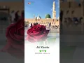 Download Lagu phool khilte hai padh padh ke salle ala naat sarif status ❤️ #short #islamicvideo