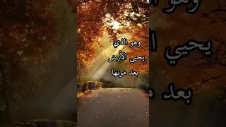 لاتظن ان الله ناسيك هو الذي يحيي العظام وهي رميم وهو الذي يحيي الارض بعد موتها 