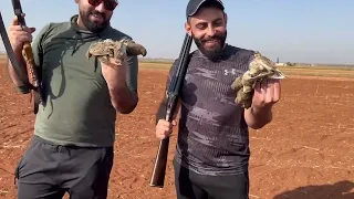 صيد عصفور الزرعي لموسم 2022 في ريف مدينة سراقب 