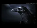 Kontra K x Sido x Disarstar x Motrip x Gzuz x Metrickz - Diese Narben sind für immer ( Mammut Remix)