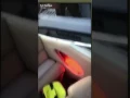HIGH SPEED BOAT CHASE ENDS WITH MCDONALDS IN THE BACK OF THE COP CAR
