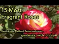 Download Lagu 15 Most Fragrant Roses - David Austin, Meilland, Tantau and others
