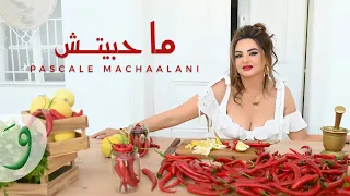 Pascale Machaalani Ma Habeitish Official Music Video 2024 باسكال مشعلاني ما حبيتش 