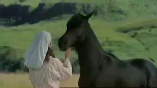 تقول انسي كاظم الساهر دندنها