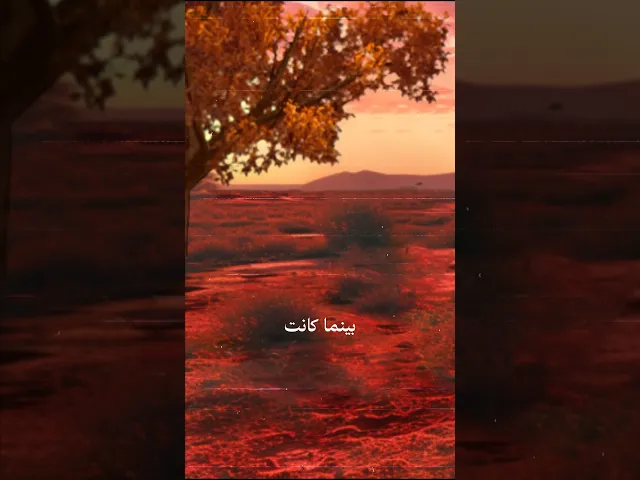 ⁣حقيبة المؤمن 