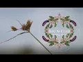 Download Lagu Ojo Melid, Kembang Terong - Lagu Osing (Official Music Video)