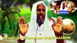 Du Aayii She Abdusalam Kadir 