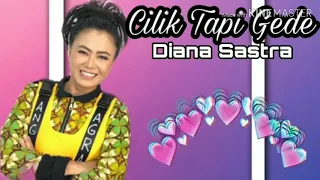 Download Cilik Tapi Gede Lagu Terbaru Diana Sastra MP3