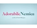 Video di ADORABILE NEMICA - Trailer italiano HD (con Shirley MacLaine e Amanda Seyfried)