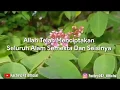 Story W.A Muhammad Nabina