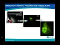 Download Lagu metaxpress_zebrafish_bloodflow