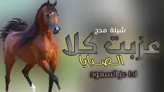 افخم شيلات رقص حماسيه طرب      عذبت كل الصبايا    اداء عز السعود    شيلة حماسيه رقص طرب دندنها