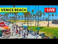 Los Angeles Live Cam Venice Beach Venice V Hotel Live Camera Stream