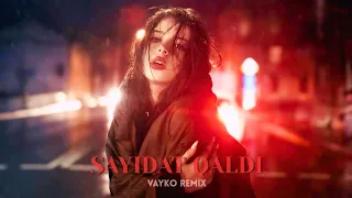 Haneen Elshater Sayidat Qaldi Vayko Remix 
