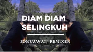 Download BONGAWAN REMIXER - Diam Diam Selingkuh Remix MP3