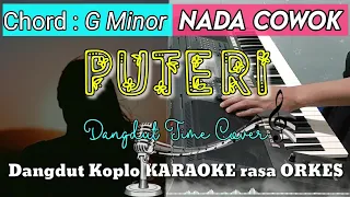 Download PUTERI - Iklim | Versi Dangdut Koplo KARAOKE rasa ORKES || Nada Cowok MP3