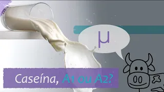 Leite faz mal? Caseína A1 ou A2? Qual caseína é melhor? Leite A2A2 é melhor?
