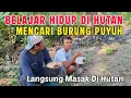 Download Lagu BELAJAR BERTAHAN HIDUP DI HUTAN || MENCARI BURUNG PUYUH ( hutan )LANGSUNG DI MASAK.