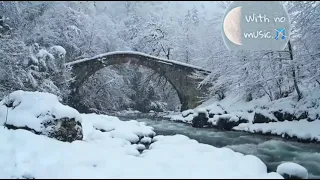 قديش كان في ناس فيروز بدون موسيقى 