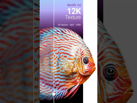 World's first 12K texture – Rodin Gen 2.5.