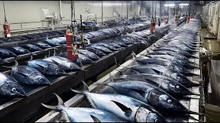 أفضل 8 مصانع أغذية في كوريا تنتج بسرعة جنونية 