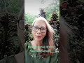 Download Lagu Kinosoliwanon 20:13  Kada kou pamatai