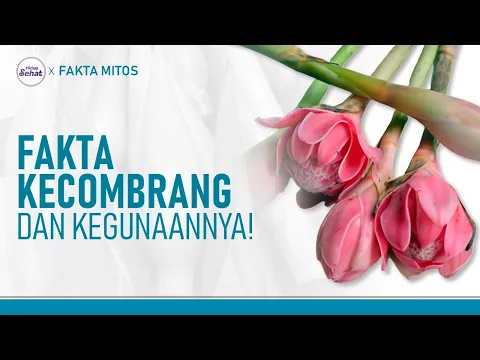 Segudang Manfaat Kecombrang Untuk Kesehatan