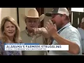 Alabama farmers weather the storm of high costs