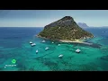 Tropical Chillout Deep House Vibes 🌴 Ultimate Lounge Background Music 🌊