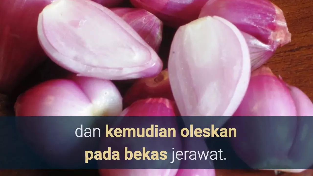 CARA MENGHILANGKAN BEKAS JERAWAT DENGAN CEPAT DAN MUDAH DALAM 1 HARI SECARA ALAMI. 