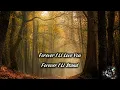 Shout to the Lord - Darlene Zschech | Female Cover (Late Night Prayer Worship) | Cax Worship