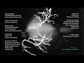 Pamungkas, Dipha Barus - Sambung (Official Lyrics Video)