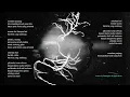 Download Lagu Pamungkas, Dipha Barus - Sambung (Official Lyrics Video)