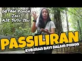 Download Lagu 7 Fakta Suku Toraja Kubur Bayi Dalam Pohon Tarra - Passiliran