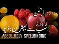 Download Lagu Soera Rahman volledig met Urdu-vertaling en uitleg - Verbazingwekkende Koran-visualisatie