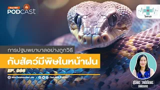 หากโดนแมงก้นกระดกต่อย ต้องทำอย่างไร?