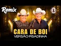 Download Lagu CARA DE BOI REMIX VERSÃO PISADINHA GINO E GENO
