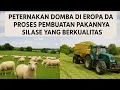 Download Lagu Peternakan domba di Eropa dan proses pembuatan pakanya silase yang berkualitas