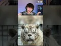 Animals with Down syndrome